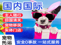 朝阳机场物流国际宠物托运 【国